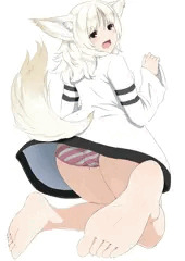 わんこ