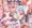 ミクとゆかり　ボテ子宮脱