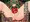 ドラ○ンクリスト