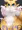 Free Renamon🦊