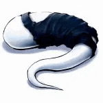 鹿羽ぴエロ