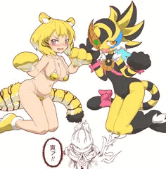 【寅年】タイグリスと月光虎