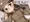 前進する
