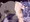 翼さん後ろからずぽずぽ