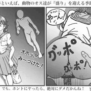 【女性の方もご覧ならば...】