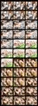 ZOOERASTIA Mini CG Collection-03