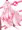 ラビアタさんM字開脚部。