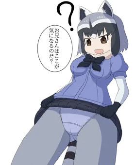 アライさんたくし