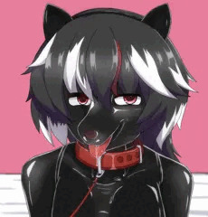犬調教