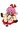 Ribbon's Poo Poo Turds 
