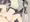 JS捕まえた！