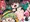kanikama × koishi