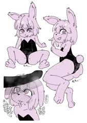 バニーの日