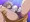 こすりつけているムジナ