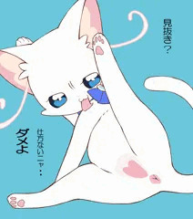 仕方ないニャ…