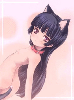 黒猫。