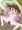 ぬくぬくっクス