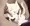 子猫にミルク