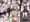 脱走兵鈴仙【裏】教育記録