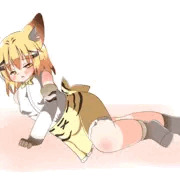 スナネコ