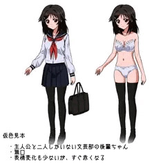 仮色見本