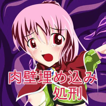 [オリジナル変身ヒロイン]肉壁埋め込みで処刑