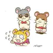 見せたいハムたち