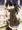 ふたなりチャレンジ