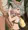 senchan