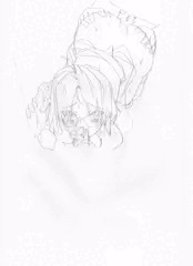 戦国乙女ミツヒデその５