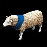 炯炯イネズ