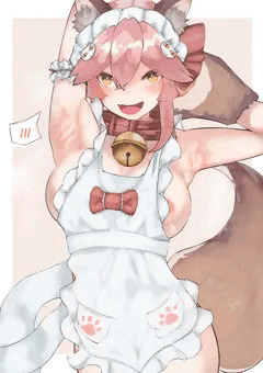 タマモキャット