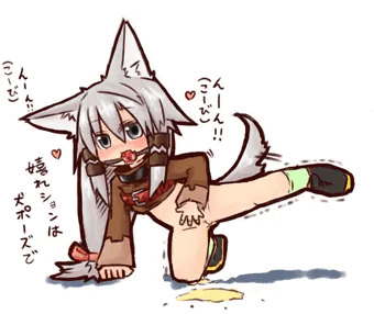 交尾前の躾