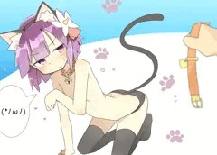 猫阿求
