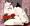 けつねbba