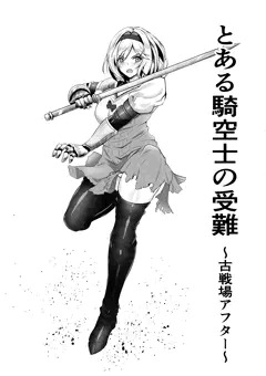 とある騎空士の受難～古戦場アフター～
