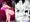 処女ビッチ～貢ぎマゾたらしの女～