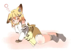 スナネコ