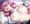 提督のメンテの日（2022ver）