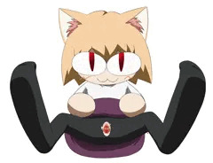 ネコアルク