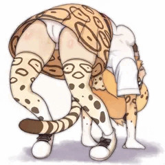 こうかブリッジ？ぜんぜんわからん！
