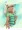 お題箱「おでこアップにした私服のクロエ・フォン・アインツベルン」