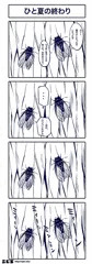 ひと夏のおわり