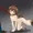 諜報活動　　【愛犬元気】