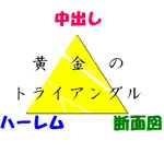 黒斑