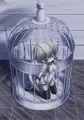 翼×鳥籠