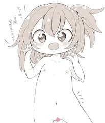はだかのひなた