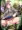 リク絵　（お外でしているところを見られる友希那）