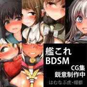 201605170 - 艦これBDSM 基本画像まとめ 14枚