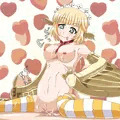 ハーピー